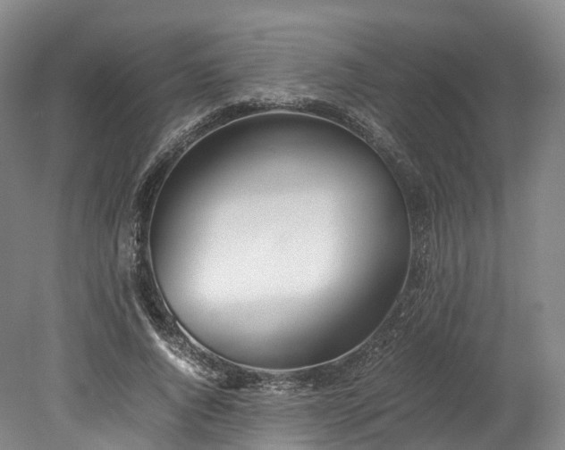 X0000078240736200611101035