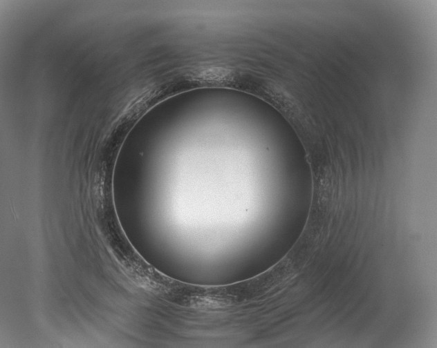 X0000078240739200611101035
