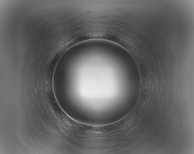 X0000078240743200611101035
