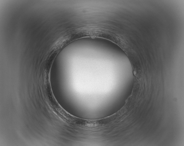 X0000078240744200611101035