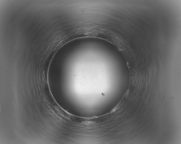X0000078240748200611101035
