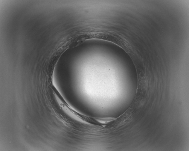 X0000078240750200611101035
