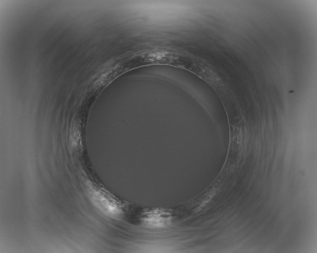 X0000078240754200611101035