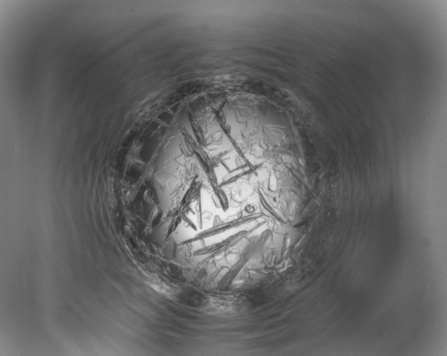 X0000078240757200611101035