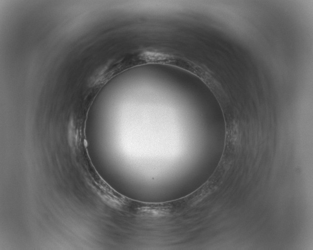 X0000078240763200611101035