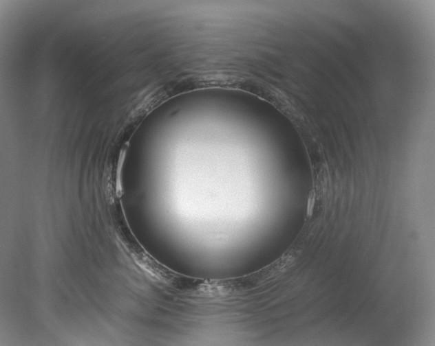 X0000078240764200611101035