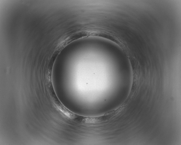 X0000078240766200611101035