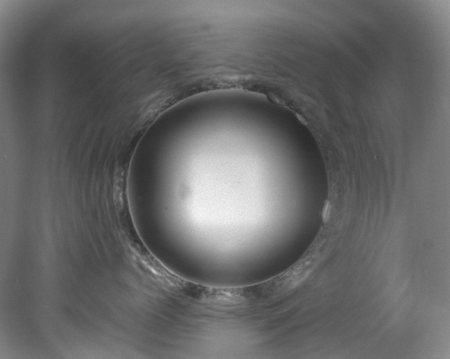 X0000078240768200611101035