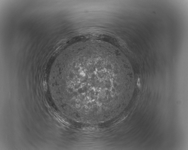 X0000078240771200611101034