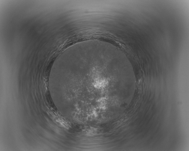 X0000078240772200611101034