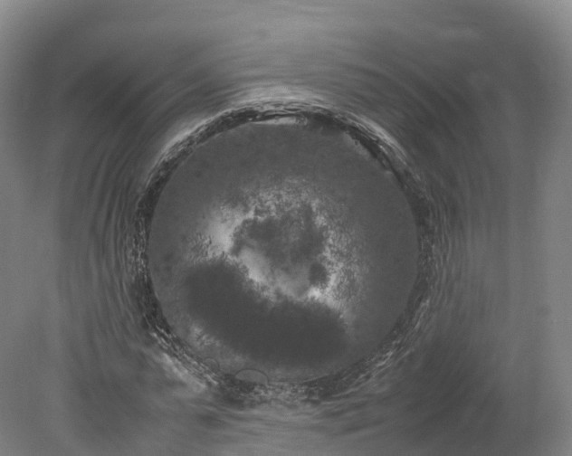 X0000078240775200611101034