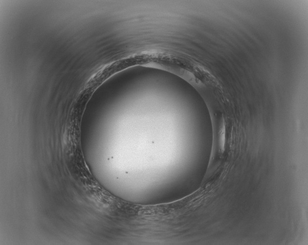 X0000078240776200611101034