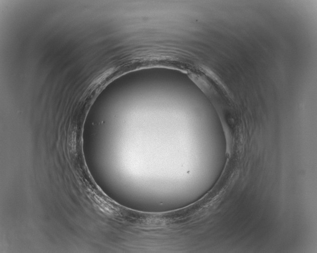 X0000078240777200611101034