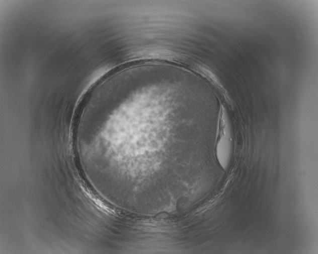 X0000078240780200611101034