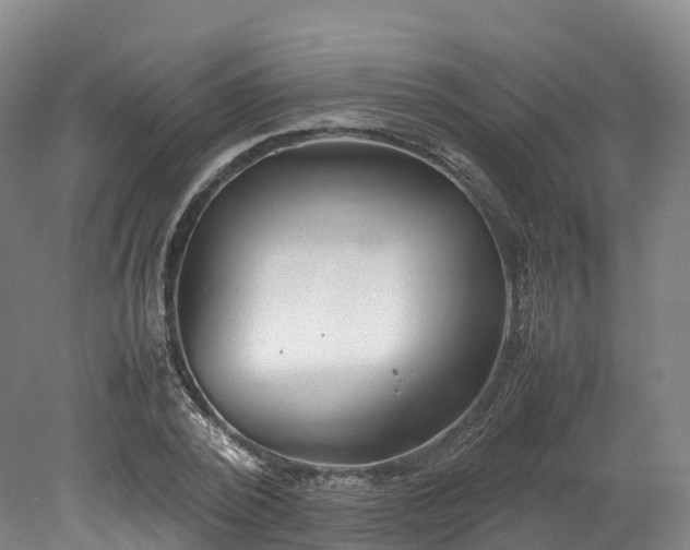 X0000078240784200611101034