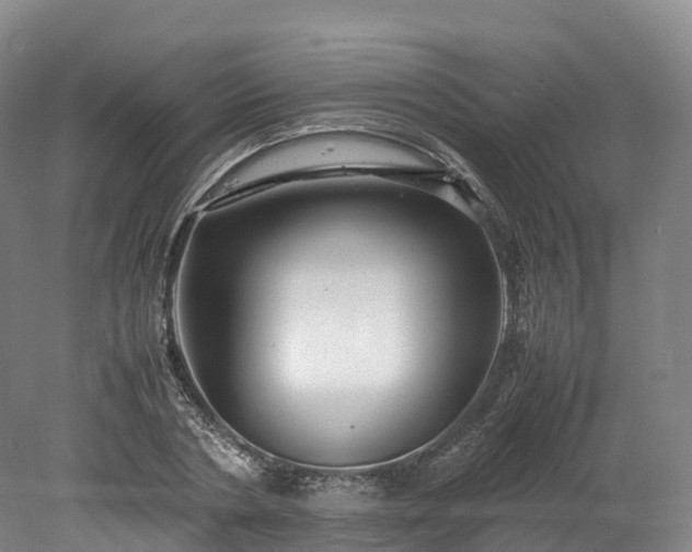 X0000078240786200611101034