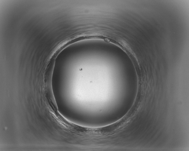 X0000078240789200611101034