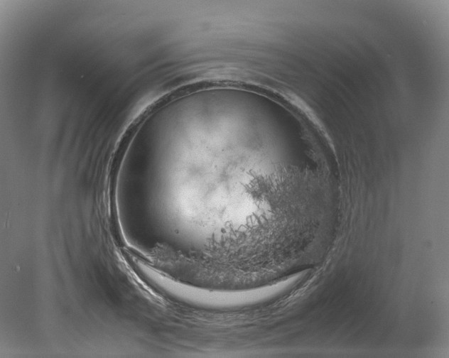 X0000078240791200611101034