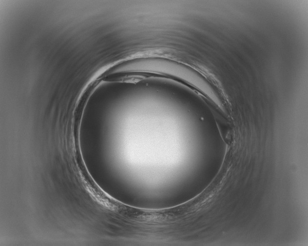 X0000078240792200611101034