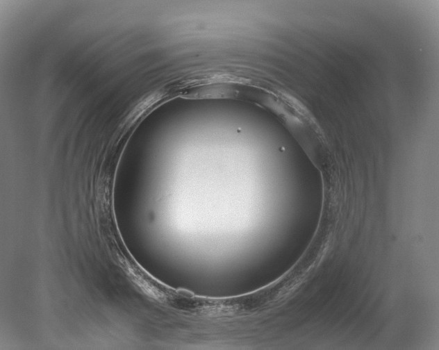 X0000078240793200611101034