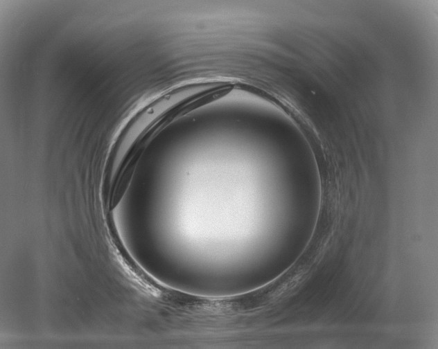 X0000078240797200611101034