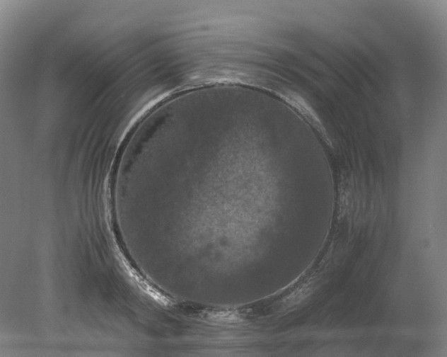 X0000078240798200611101034