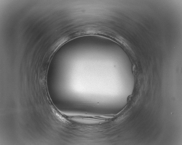 X0000078240801200611101034