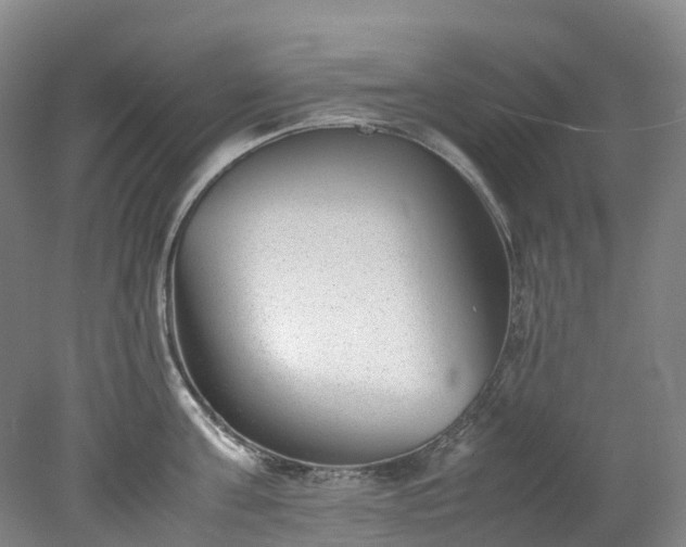 X0000078240811200611101034