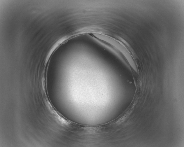 X0000078240812200611101034