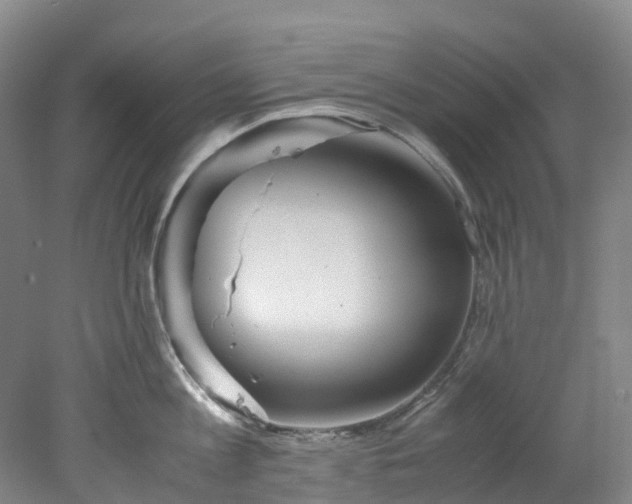 X0000078240813200611101034