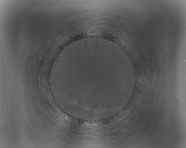 X0000078240817200611101033