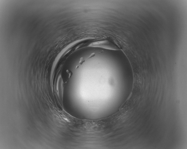 X0000078240818200611101033