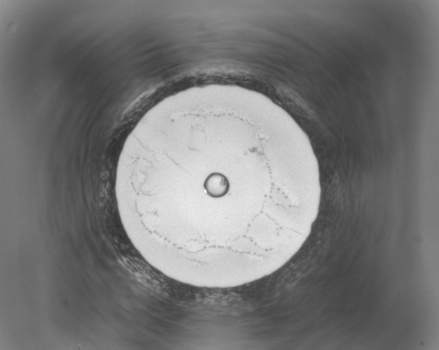 X0000078240824200611101033