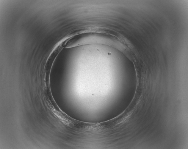 X0000078240830200611101033