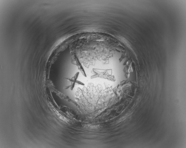 X0000078240831200611101033