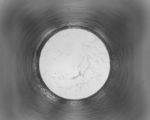 X0000078240832200611101033