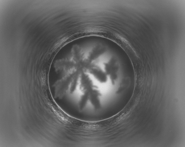 X0000078240833200611101033