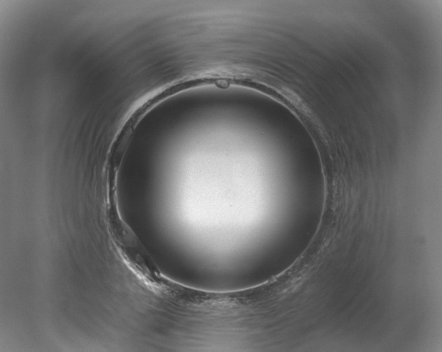 X0000078240838200611101033