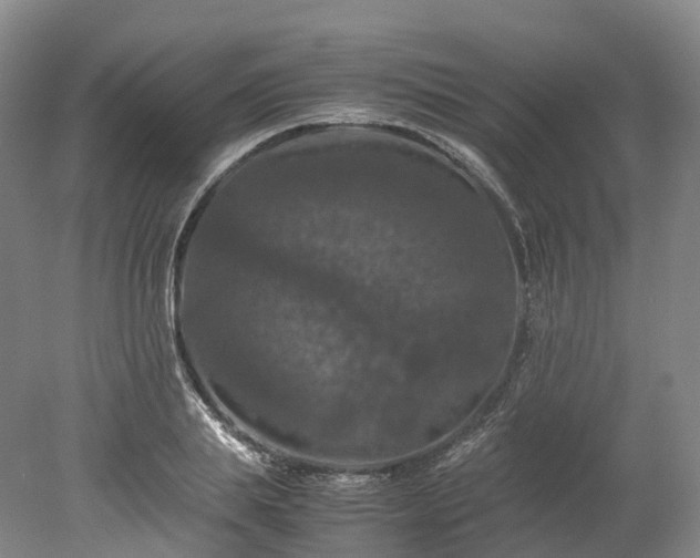 X0000078240839200611101033