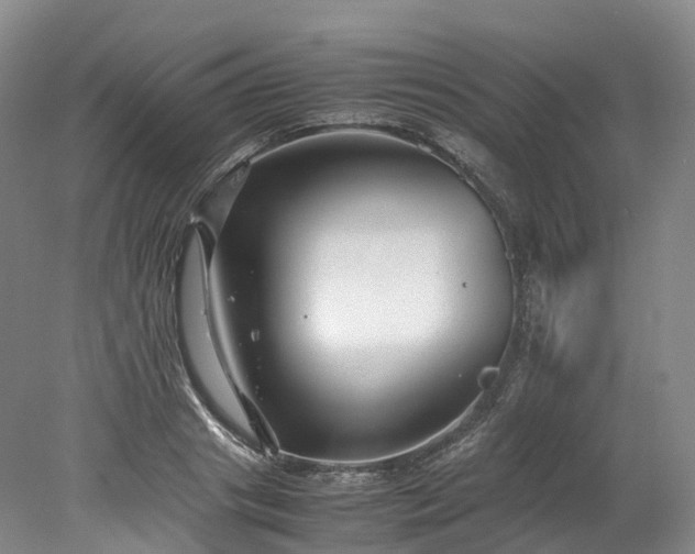 X0000078240841200611101033
