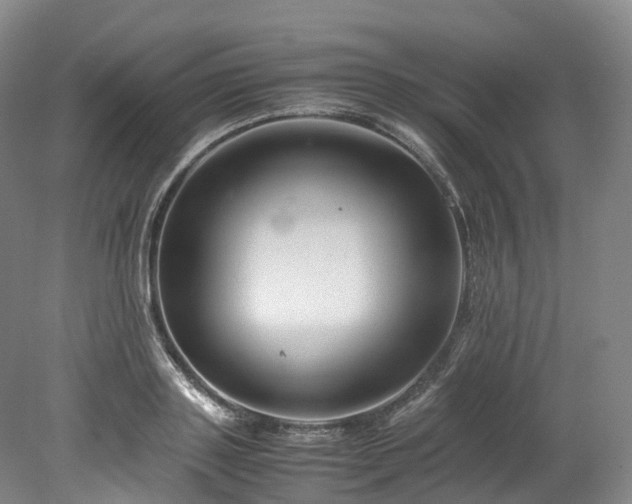 X0000078240843200611101033