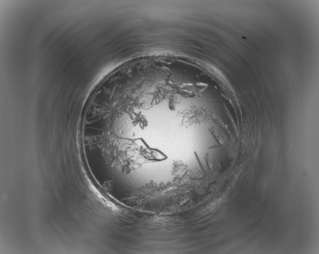 X0000078240847200611101033