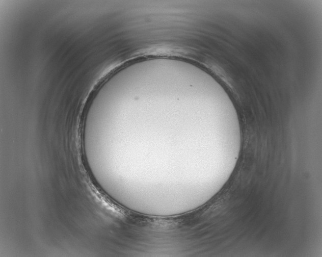 X0000078240848200611101033