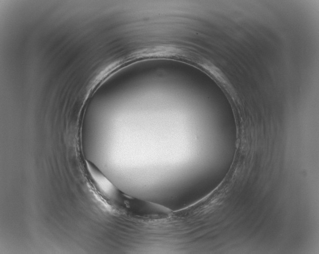 X0000078240850200611101033