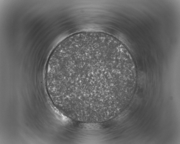 X0000078240856200611101033