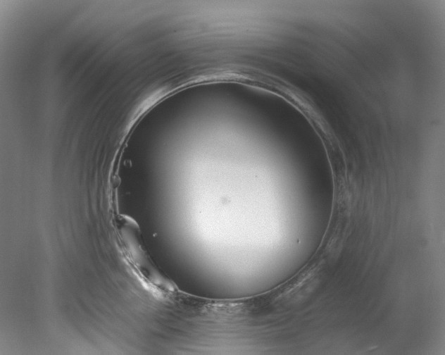 X0000078240858200611101033
