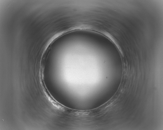 X0000078240861200611101034