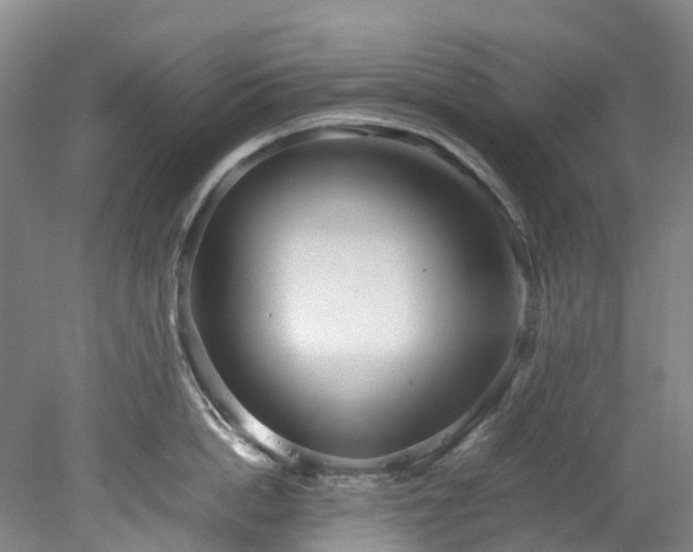 X0000078240862200611101034