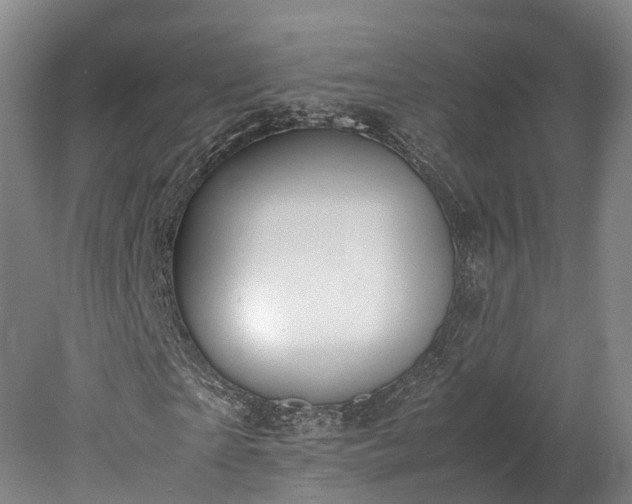 X0000078240865200611101033