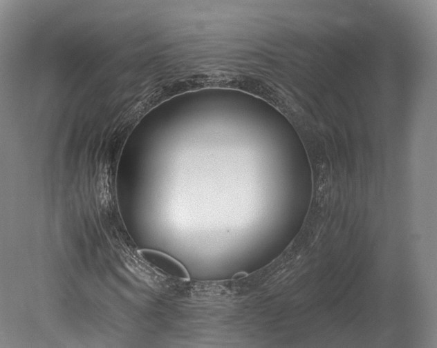 X0000078240866200611101033